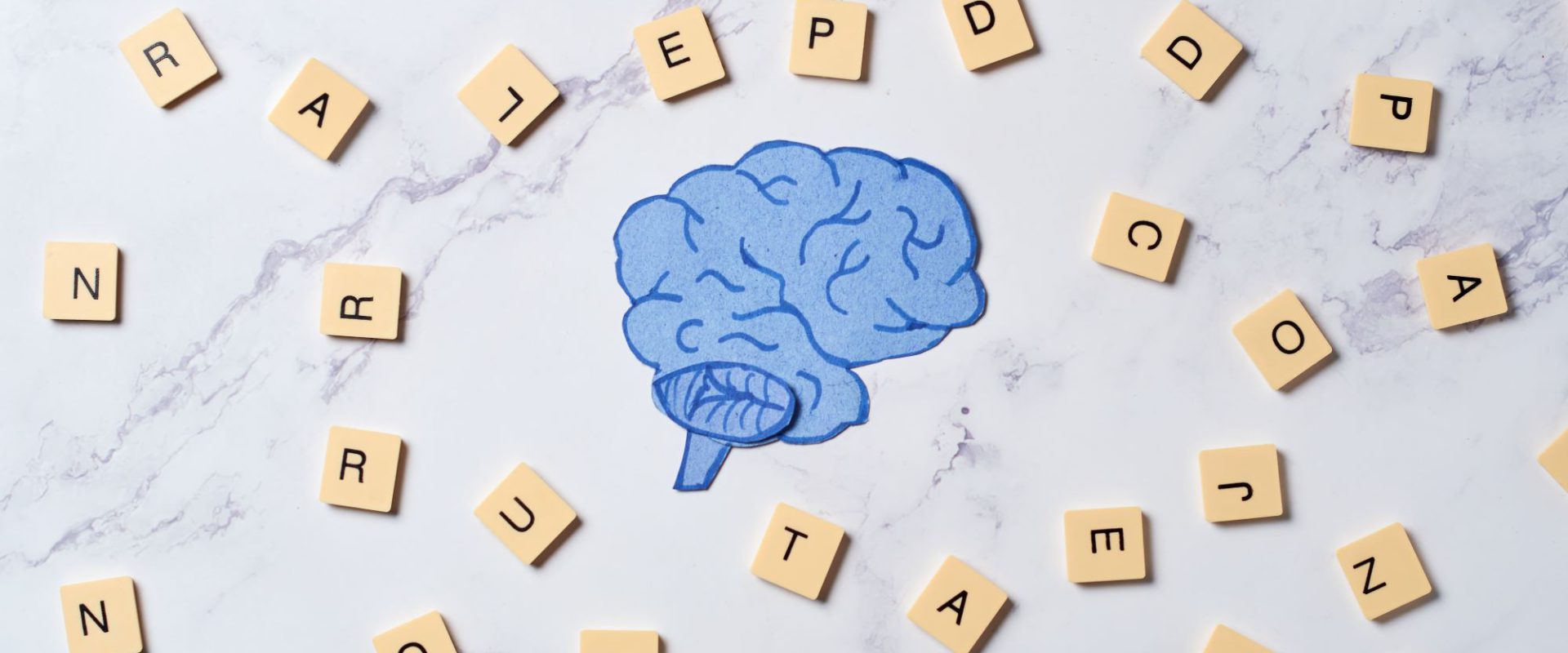 Cognitive benefits to learning a language